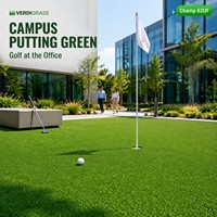 Gazon artificiel pour putting green extérieur, imperméable, ignifuge, haute densité, faible entretien, sans tonte, véritable rouleau, doux, dense, pour le golf