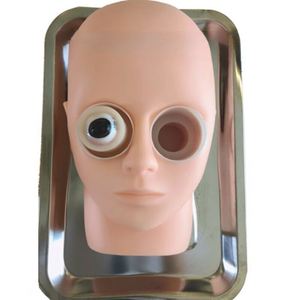 KyrenMed Ophthalmic Surgery Practice Model Animal Eye Practice Silicone Ophthalmic Head Model Ultrasonic <strong>Phacoemulsification</strong> - Product Image 2