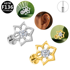 <b>Titanium</b> Snowflake Earrings G23 Zircon <b>Studs</b> F136 <b>Titanium</b> Alloy Party Fashion Jewelry - Product Image 2