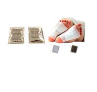 Patchs Adhésifs Naturels à l'Armoise pour les Pieds – Soin Herbal de Nuit