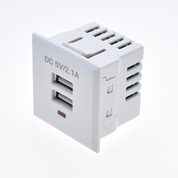 Stopkontak Dinding Industri Tembaga USB Ganda dengan Lampu Indikator Merah CE untuk Stopkontak Listrik 2.1A Hitam