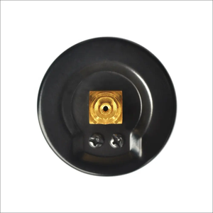 블랙 케이스와 황동 연결이 있는 100mm 건식 압력 게이지 - Product Image 5