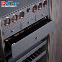 Coffre-fort caché dans la garde-robe Bijoux de plain-pied Commode îlot avec vitrine en verre pour la maison