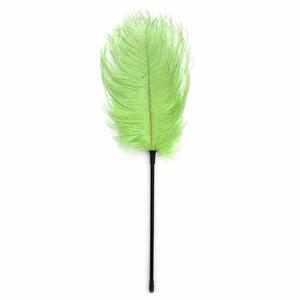 Forme De feuille Sexy Plumes Teasing Bâtons SM Jouets Sexuels Dominatrice Outils Esclaves Flirter Pôle avec Plumes - Product Image 4