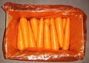 Carottes fraîches, livrées directement <span class=keywords><strong>via</strong></span> la chaîne du froid, conservant les nutriments et une texture croustillante, disponibles en gros et au détail. - Product Image 2