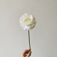 Bunga Minimalis Real Touch 33cm Ranunculus Buatan Lateks Pink Putih untuk Dekorasi Vas Pernikahan Rumah