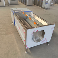 Multifunctionele wortelgroente- en fruitborstelreinigingsmachine voor groenteverwerkingslijnen