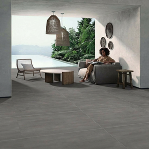 2*4 Feet (24*48 Inches, 60*120cm, 600*1200mm) Rustic Beola Grey Wooden Glossy Ceramic Wall Tile Look Porcelain Plank Floor Tiles - Product Image 1