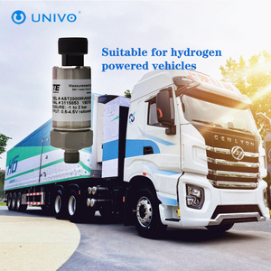 TE ast2000 xe Hydro Cảm biến áp suất đầu dò công nghiệp dầu nước gas đo ± 0.25% FS 4 ~ 20mA 1 ~ 5V IP67 - Product Image 2