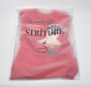 Nhà Máy Giá Biểu Tượng Tùy Chỉnh In Ấn Quần Áo Ziplock Bao Bì Túi Tùy Chỉnh Frosted Dây Kéo Túi Cho Quần Áo - Product Image 2