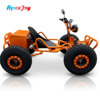 Kart Eléctrico Profesional de 1000W para Adultos, con Capacidad de Escalada de 47 Grados, 48V 60V, Todoterreno, con Arranque por Botón, para Carreras en Resorts y Flotas