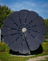 Panneaux solaires paysagers personnalisés SunPower 5,5 V haute efficacité, forme de pétale, forme de fleur, en ETFE