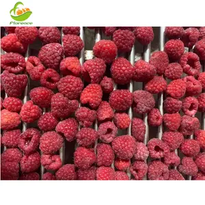 Bevroren Fruit Voedsel Bulk Iqf Bevroren Verse Frambozen Voor Verkoopprijs Bevroren Raspberry Bevroren Crumbles Raspberry Iqf Hele