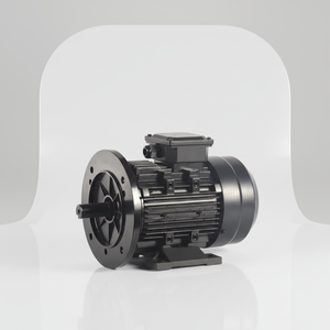 มอเตอร์ไฟฟ้ากระแสตรงแบบไร้แปรงถ่านแม่เหล็กถาวร7.5KW 1.5KW มอเตอร์อุตสาหกรรมแรงบิดสูง24V/48V/60V/72V 1500RPM - Product Image 4