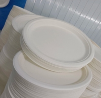 Assiettes en bagasse compostables de 9 pouces, biodégradables, résistantes à l'eau et compatibles micro-ondes pour le camping, les fêtes et la restauration