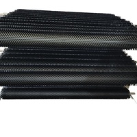 Voedselveilige cilindrische borstelrol 155mm diameter metalen handvat op maat gemaakte export nylon borstelharen JXY merk voor fruit en groenten