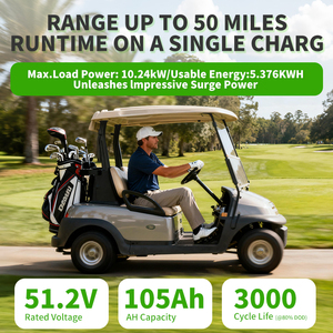 Paquete de Baterías Personalizable para Carrito de Golf de 48V 51.2V 65Ah 100Ah 105Ah 200A con BMS Inteligente, 6000 Ciclos, 76.8V, LiFePO4, Iones de Litio, Varios Colores - Product Image 3