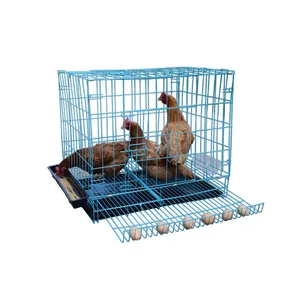 Jaula de alambre de hierro plegable para pollo, jaula de alambre de pollo, a precio barato, venta de fábrica