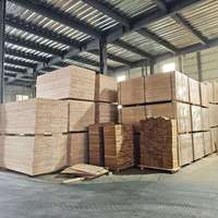Vente Flash : Ruches en Bois de Paulownia Carbonisé Multifonctionnelles – Direct Fabricant