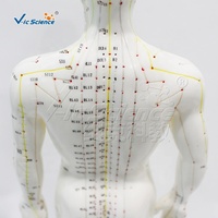 Modelo de Acupuntura Masculino de PVC Suave de 50 cm con 409 Puntos Etiquetados y Soporte para Laboratorio de Habilidades de Enfermería, con Certificaciones CE, ISO, ROHS, CNAS y SGS