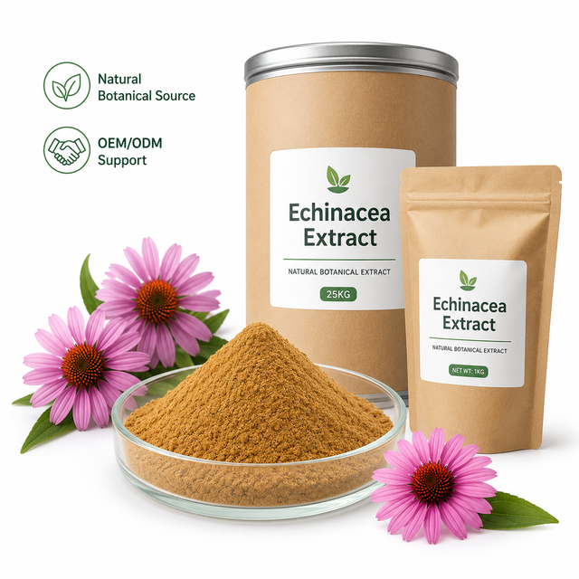 LongBio Echinacea Extract Powder Echinacea Purpurea Herbal Extract Chicoric Acid Botanical Extract for Supplement Beverage OEM