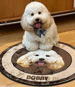 Dropshipping personalizzato gatto cane velluto tappeto di lusso dipinto a mano stile cartone animato Designer ritratto personalizzato per animali domestici Souvenir - Product Image 6