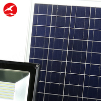 Projecteur LED solaire miniature le plus puissant pour terrain de basket-ball 12V IP65 avec capteur solaire 40W-300W