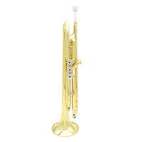 Wholesale Custom Brass Tone Gold Lacquer Professional Trumpet for Beginners