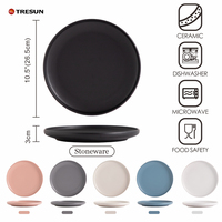 Plato Redondo Plano de Porcelana con Acabado Mate Blanco Hueso, Estilo Nórdico, para Servir Comida Occidental, Plato de Cerámica Personalizado para Filetes, para Hotel