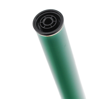 Tambour Opc vert japonais pour Pantum P2200 2500w 2500n 2500nw M6500nwe 6550 6550nw 6600nw imprimante copieur cylindre tambour noyau
