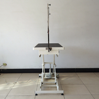 Table de toilettage électrique EURVET, robuste, capacité 250 lbs, système d'éclairage LED, tiroir de rangement intégré, équipement vétérinaire de type H, 304 Dog