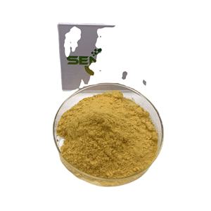 Polvo de extracto de TongKat Ali, extracto de raíz de Tongkat Ali natural, extracto puro de TongKat Ali - Product Image 3