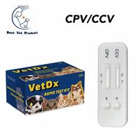 Veterinaire test voor Erlichia Parvovirus, Distemper (CPV/CDV/Ehr), Parvovirus Moquillo en Erlichia; snelle testkit voor honden