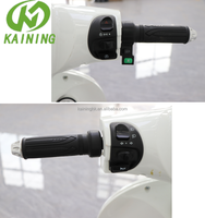 2026 EEC Nieuwe Tweewieler 72V 2000W Achterwielmotor Schijfrem Elektrische Motorfiets Scooter