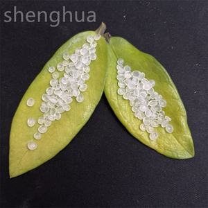 2025 Venta de fábrica 100% PP Polipropileno virgen Materias primas Gránulos de color natural Plástico T30S - Product Image 5