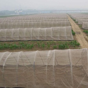 פלסטיק אנטי חרקים רשת רשת הגנה 32 רשת חרקים הוכחת רשת עבור גינה וחממה זול מחיר - Product Image 5