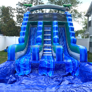 Thương mại ngoài trời trẻ em người lớn nhiệt đới Breeze trượt nước trở ngại khóa học trả lại nhà <span class=keywords><strong>Inflatable</strong></span> trượt nước với hồ bơi - Product Image 4