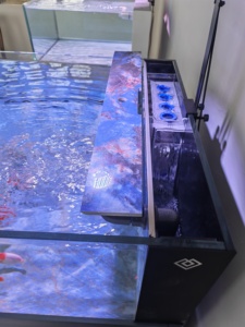 Acuario de Vidrio Cuadrado/Rectangular de 60CM, Juego Completo de 280L, Ecológico, Ultra Silencioso, Ligero, Tamaño Personalizado Disponible - Product Image 6