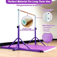 Barres parallèles multifonctionnelles en acier violet de haute qualité, portables, pour la maison, pour adultes et enfants