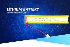 Allotype 리튬 배터리 리튬 이온 배터리 심천 4520100 3.7v <span class=keywords><strong>800</strong></span> <span class=keywords><strong>mAh</strong></span> 실버 사용자 정의 제품, 500 번 요구 사항을 충족 - Product Image 5