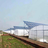 Serre solaire photovoltaïque à simple travée avec couverture en film PO pour l'agriculture, taille personnalisable, systèmes d'irrigation et de ventilation