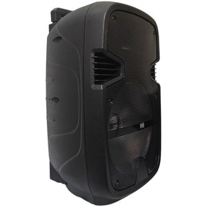 Web 12 Inch Portable <b>Speaker</b> 40W Bluetooth LED Light FM Radio SD <b>USB</b> - Product Image 2