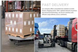 Transporteur DDP porte à porte Fret aérien de la Chine vers l'Inde, l'Europe, le Pakistan/le Russe Agent d'expédition vers l'Allemagne transitaire - Product Image 6