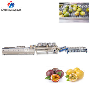 Fruit Drying Production Line Juice Production Line Passion Fruit Fruit Vegetable Bubble Washing Cleaning Sorting Machine