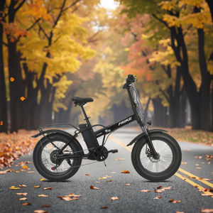 Vélo tout-terrain <span class=keywords><strong>électrique</strong></span> pliant de 20 <span class=keywords><strong>pouces</strong></span>, moteur <span class=keywords><strong>1000W</strong></span>, batterie au Lithium, vente à chaud - Product Image 3