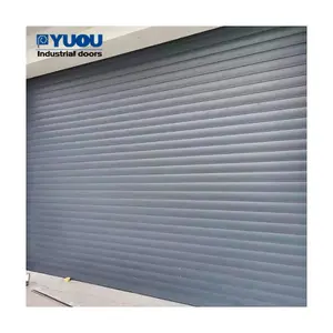<span class=keywords><strong>Precio</strong></span> barato industrial Puerta automática <span class=keywords><strong>de</strong></span> persiana enrollable <span class=keywords><strong>de</strong></span> aluminio Puerta enrollable <span class=keywords><strong>de</strong></span> metal hueco <span class=keywords><strong>de</strong></span> doble capa con control remoto - Product Image 1