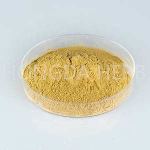 Chiết Xuất Từ Lá Xoài HONGDA Mangiferin 90% - Product Image 2