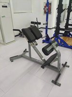 Rosen Luxury Commercial Strength Training Indoor OEM Factory Bodybuilding Gym Fitness Muscles Workouts Equipment Back Extension