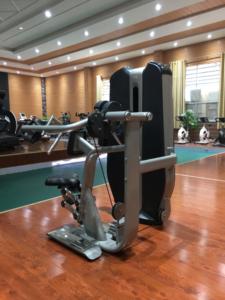 Machine à ramer assise de qualité supérieure, équipement professionnel de <span class=keywords><strong>musculation</strong></span> pour la salle de sport, pour les muscles du dos - Product Image 6