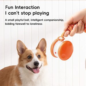 Toptan Ekolojik Dostu Otomatik Köpek Zemin Oyuncak Topu Elektronik Özellikli Modern Tasarımlı Evcil Hayvan İnteraktif Oyuncakları Köpek Oyuncağı - Product Image 2
